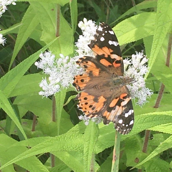 Meet your Posher, Katrin - Picture 10 of 16